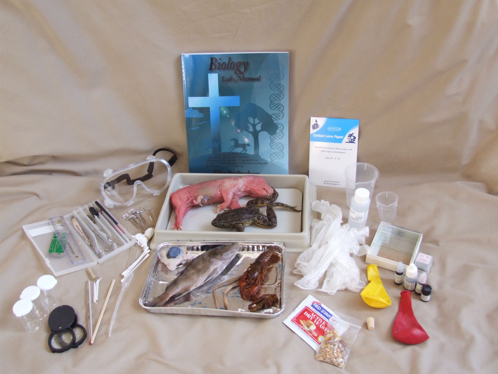 Every item in the Biology Kit laid out: manual, dissection instruments, specimens, slides and goggles