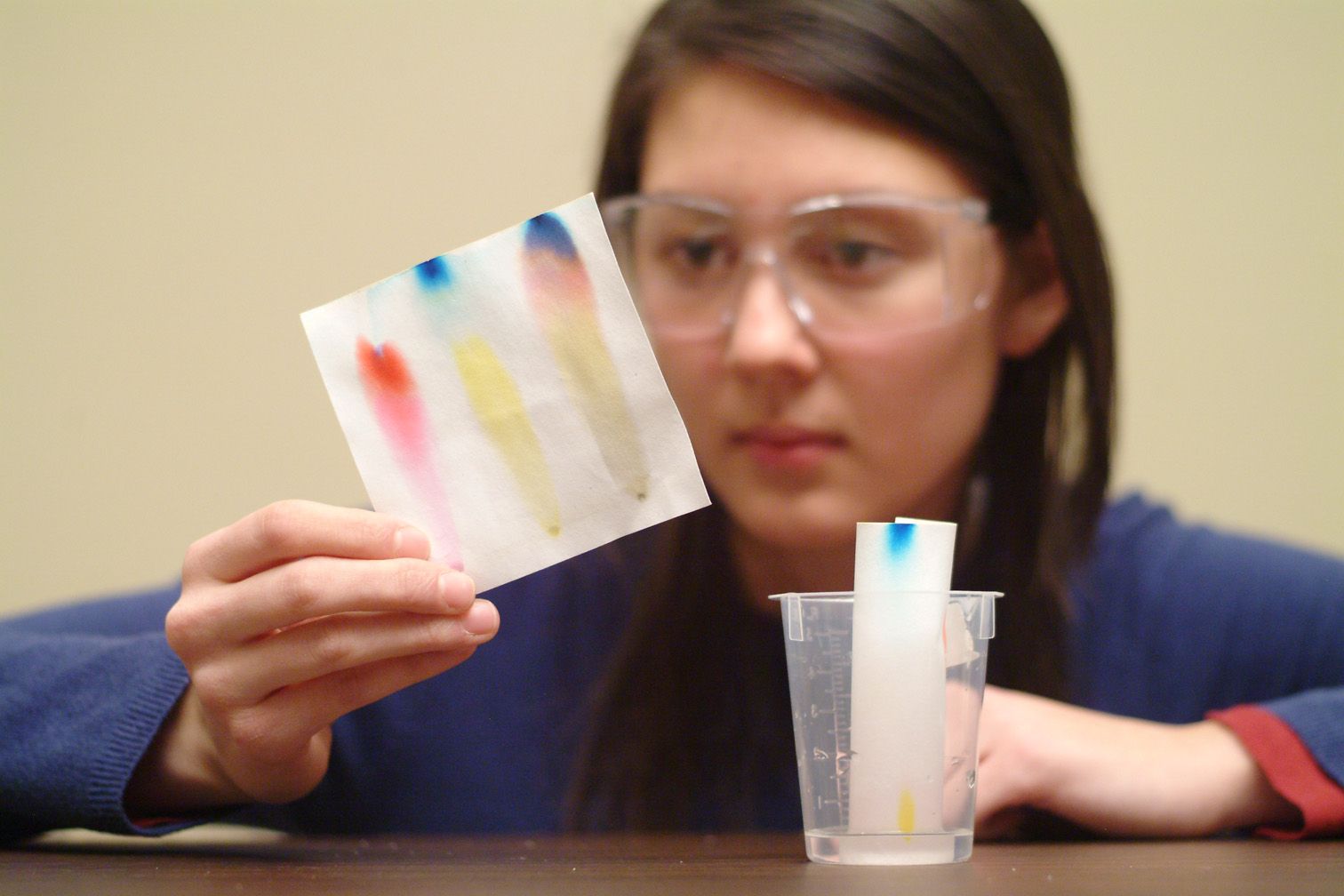 A student examining a paper chromatography strip at a table